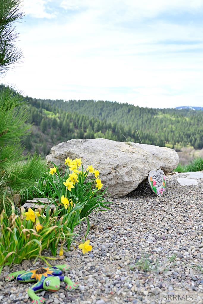 71 Lookout Circle Swan Valley, ID 83449 - Photo 24 of 97