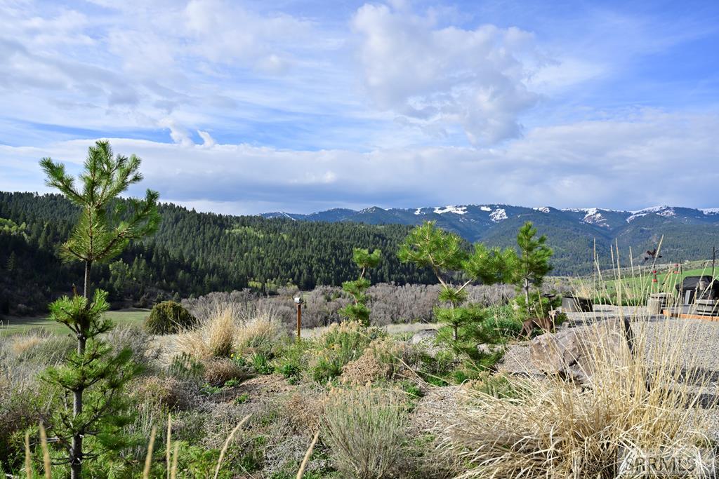 71 Lookout Circle Swan Valley, ID 83449 - Photo 25 of 97