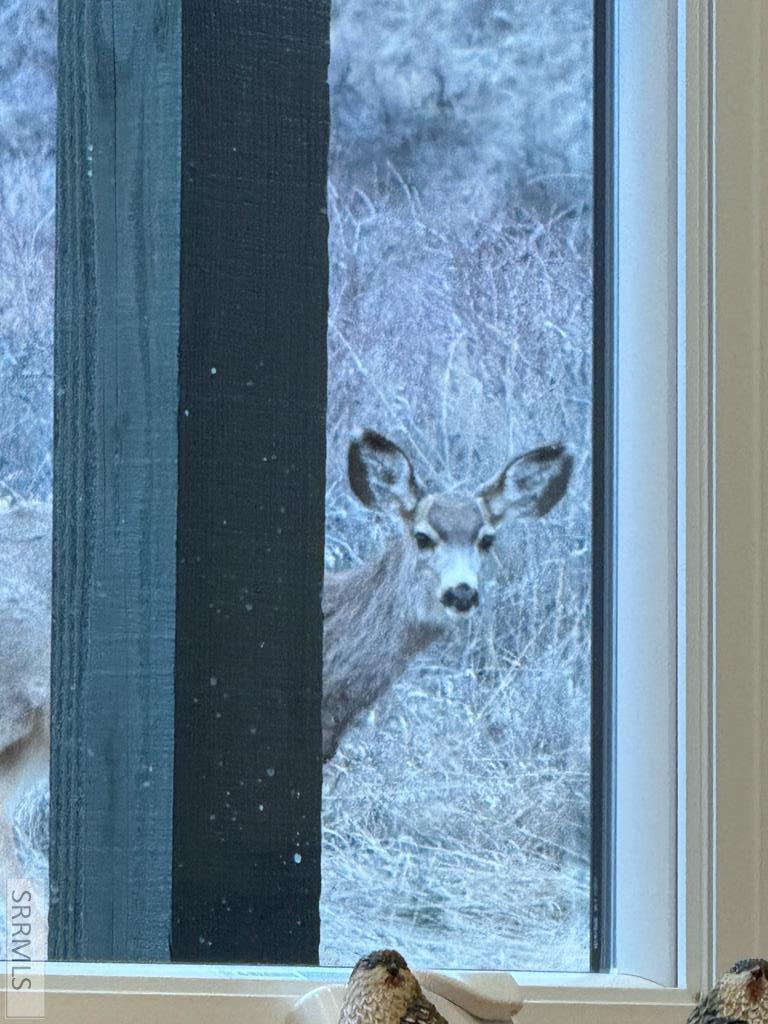 71 Lookout Circle Swan Valley, ID 83449 - Photo 41 of 97