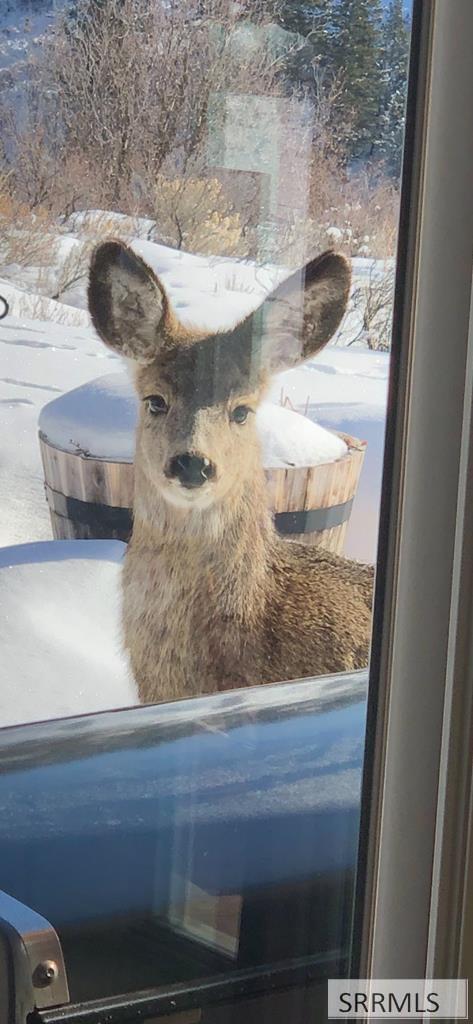 71 Lookout Circle Swan Valley, ID 83449 - Photo 42 of 97 Living Room Window