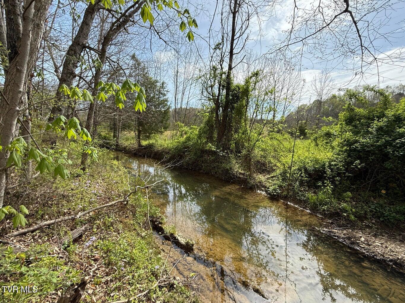 0 Longtown Road Bulls Gap, TN 37711 - Photo 9 of 34 20250417183642015752000000-o