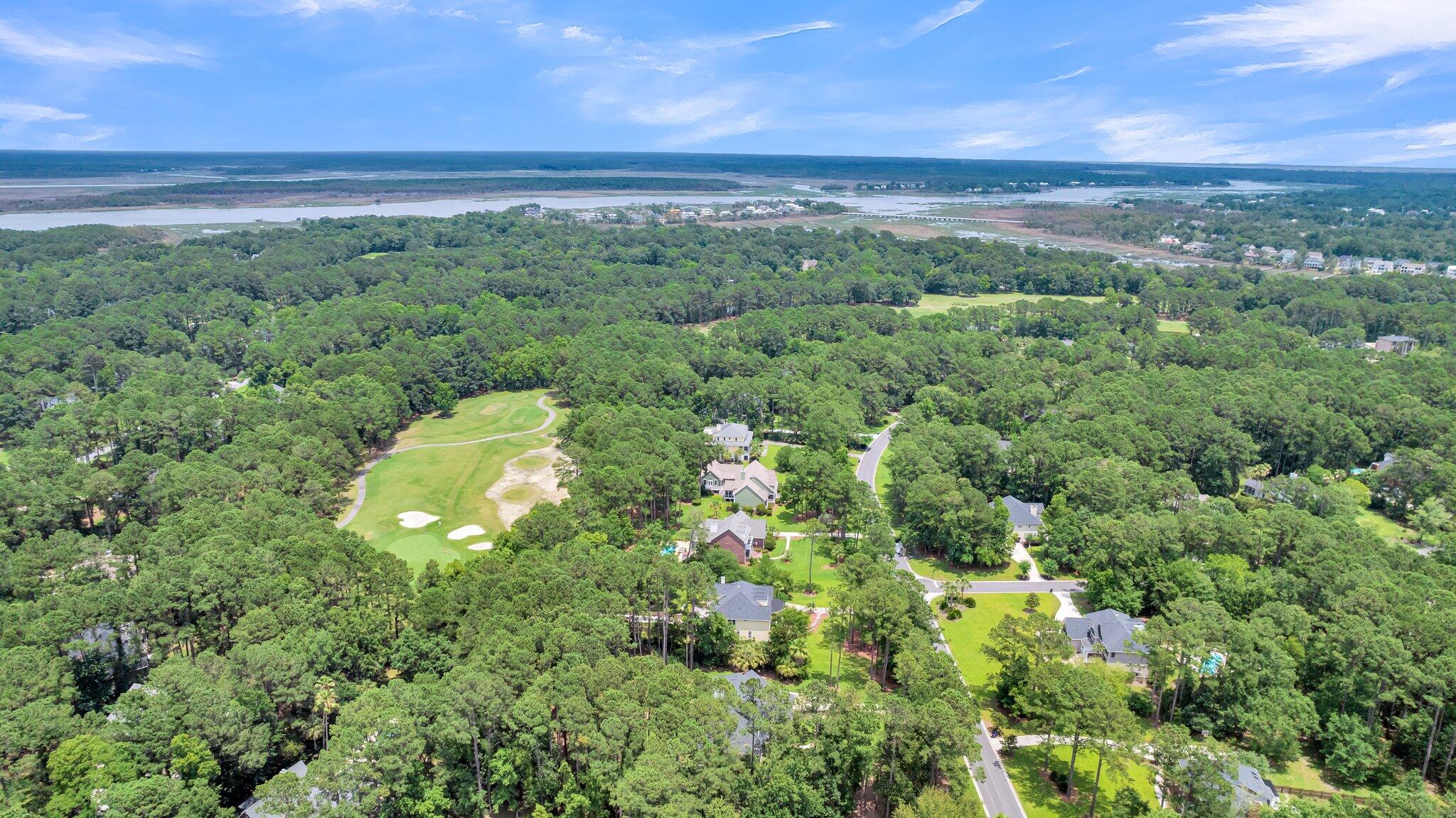 1787 Shell Ring Circle Mount Pleasant, SC 29466 - Photo 11 of 85 Aerial View