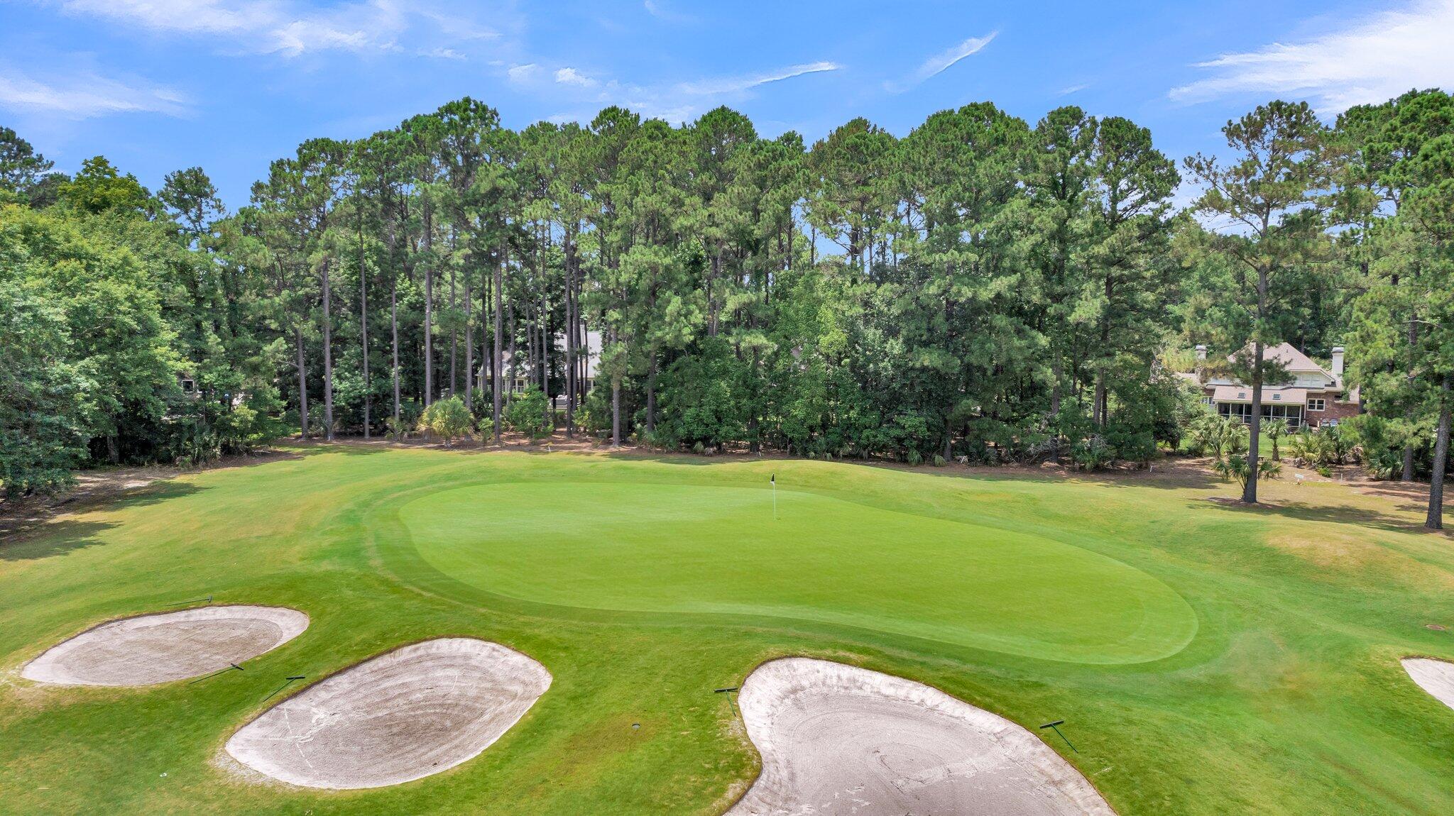 1787 Shell Ring Circle Mount Pleasant, SC 29466 - Photo 6 of 85 8th fairway