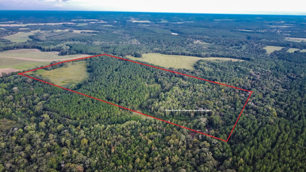 0 Double Creek Road Coffee Springs, AL 36318 - Photo 5 of 24