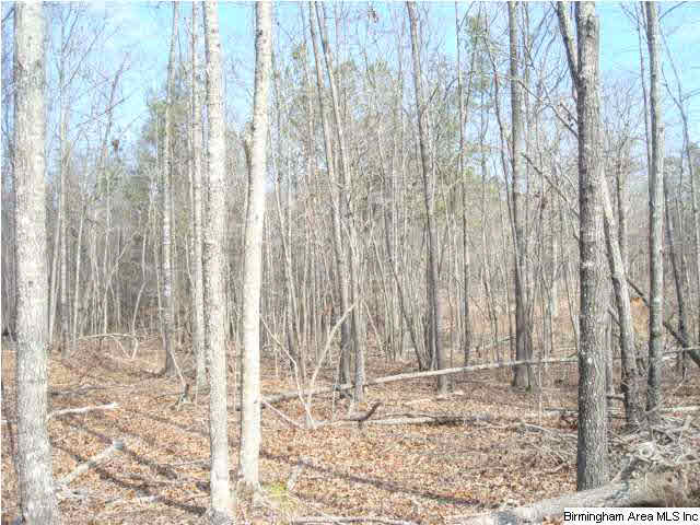 1180 Thompson Road, Unit 39 ACRES Ohatchee, AL 36271 - Photo 9 of 16