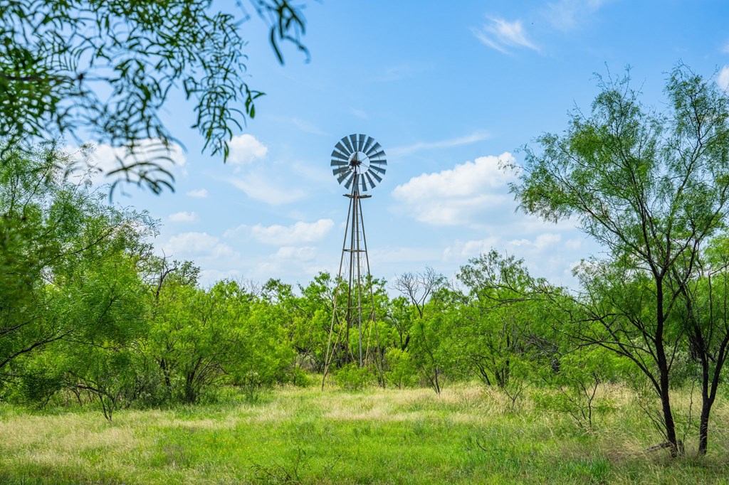 7602 County Road 113 Llano, TX 78643 - Photo 6 of 69