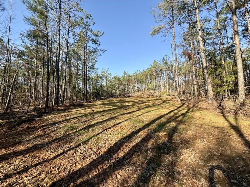 500 County Road Ripley, MS 38663 - Photo 4 of 19 Gallery Image 4