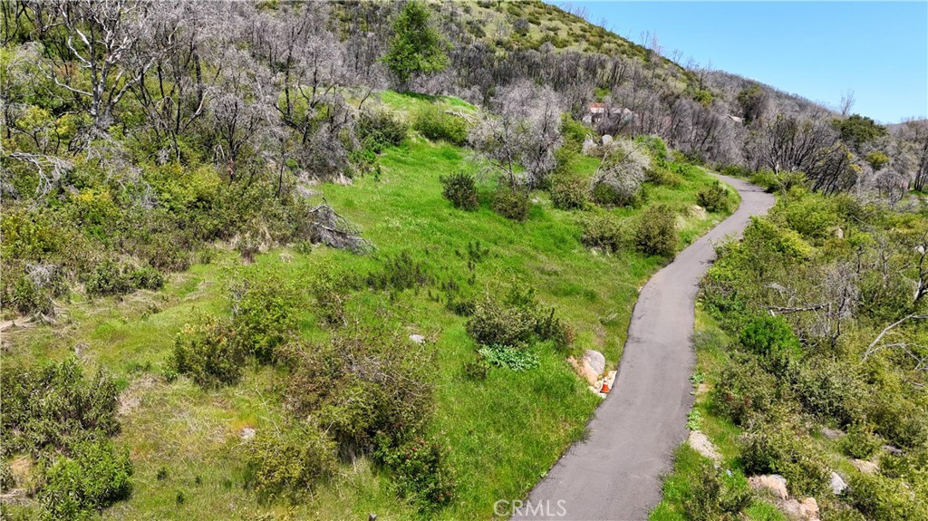 4632 Triangle Road Mariposa, CA 95338 - Photo 20 of 26 a view of a garden with a pathway