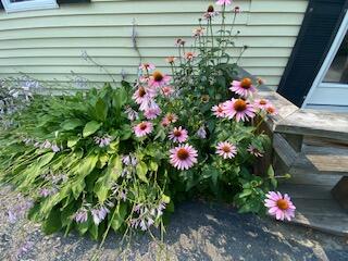 Beautiful curb appeal
