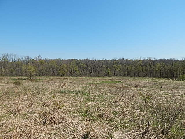 11360 East Bacon Road Pittsford, MI 49271 - Photo 37 of 52 DSCN9872