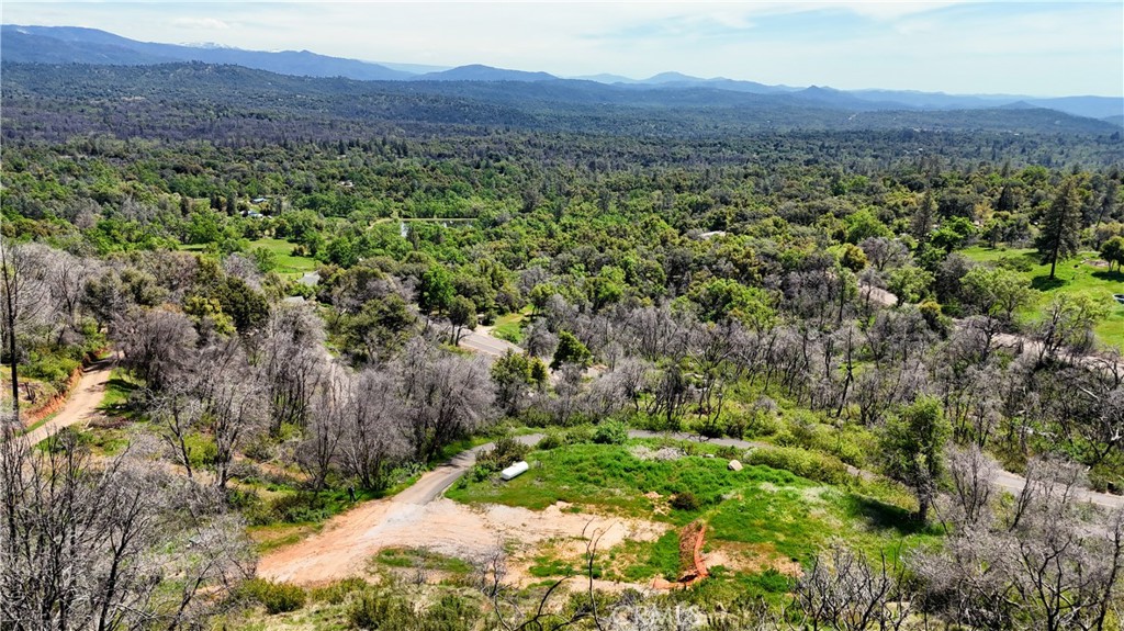 4632 Triangle Road Mariposa, CA 95338 - Photo 4 of 26 a view of a lush green field