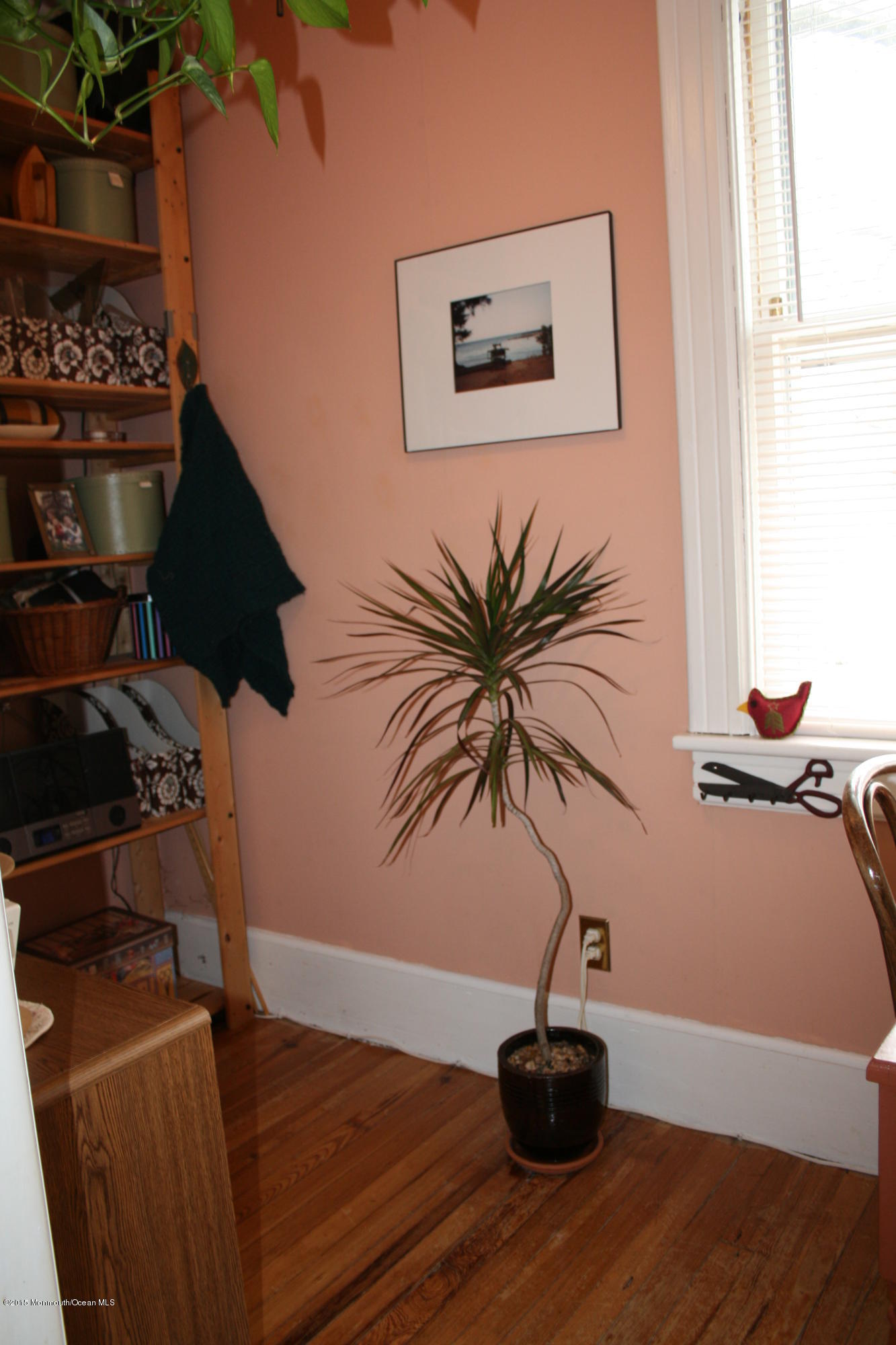 42 Spring Street Red Bank, NJ 07701 - Photo 21 of 24 a vase of flowers sitting on a table