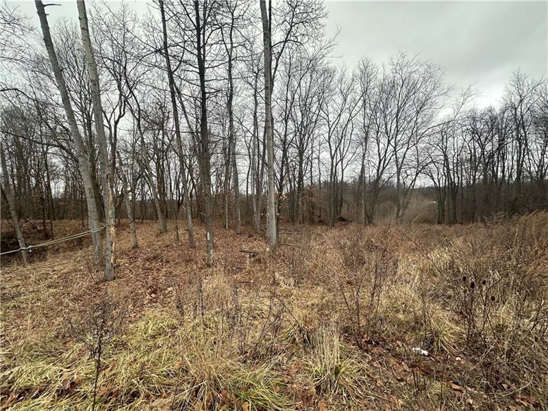 390 Snuff Ridge Road New Salem, PA 15468 - Photo 6 of 11