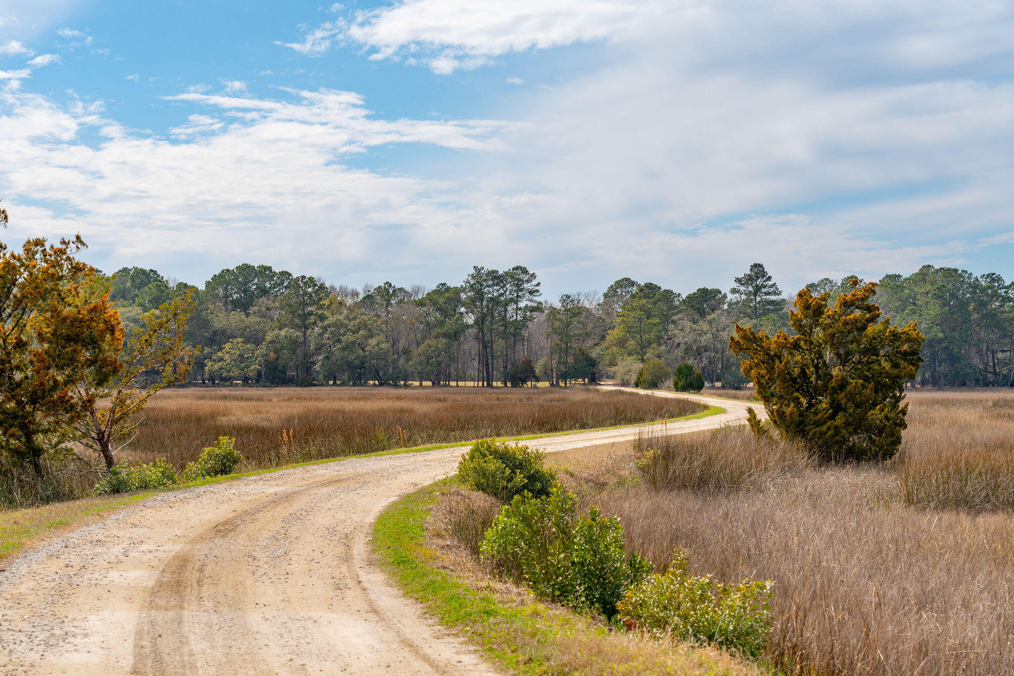 0 Hoopstick Island Road, Unit LOT 3 Johns Island, SC 29455 - Photo 4 of 18 Road to Island