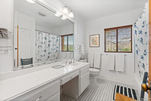 a bathroom with a sink a toilet and a large mirror