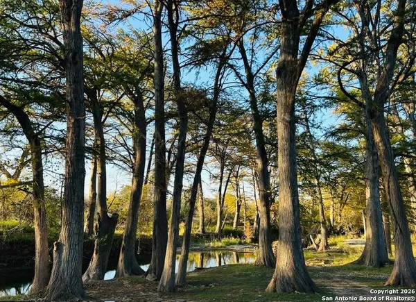 a view of outdoor space with lots of trees