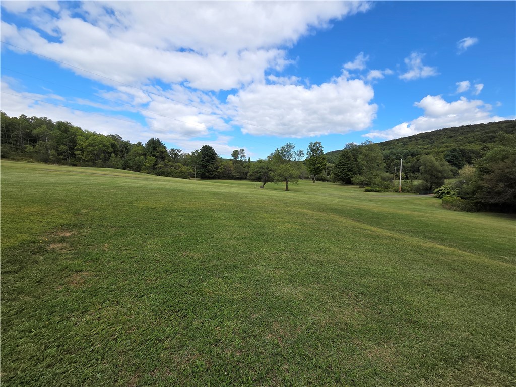 1918 Chambers Road Catlin, NY 14812 - Photo 22 of 50