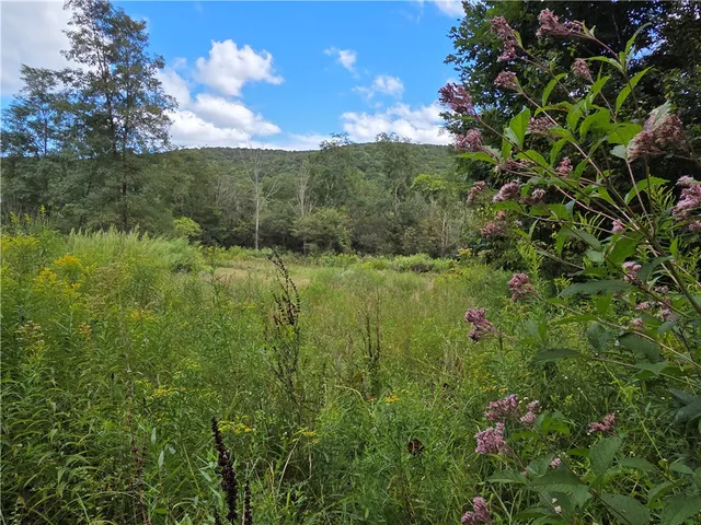 $465,000 | 1918 Chambers Road, Catlin, NY 14812