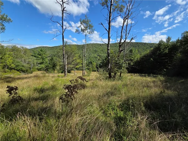 $457,500 | 1918 Chambers Road, Catlin, NY 14812