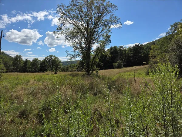 $457,500 | 1918 Chambers Road, Catlin, NY 14812