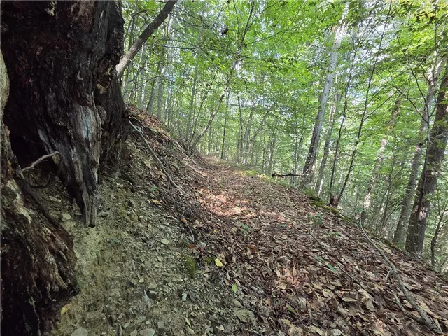 $465,000 | 1918 Chambers Road, Catlin, NY 14812