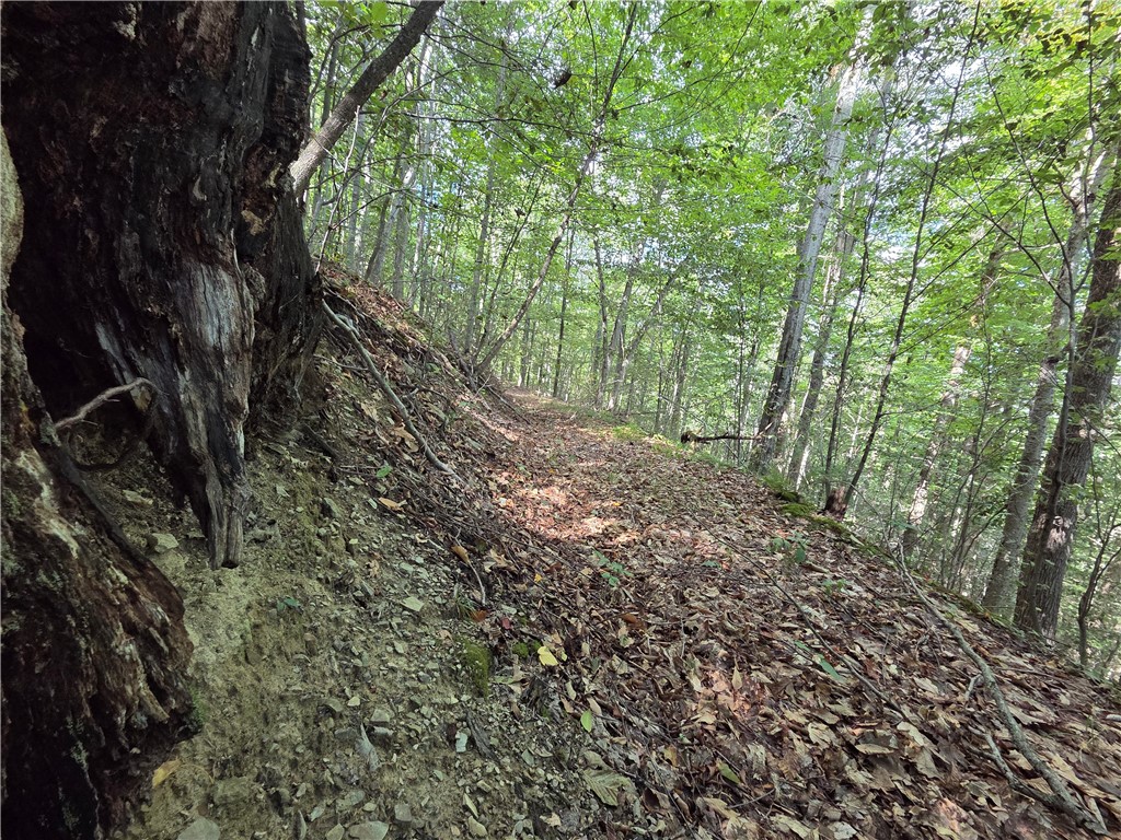 1918 Chambers Road Catlin, NY 14812 - Photo 28 of 50