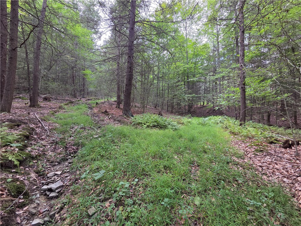 1918 Chambers Road Catlin, NY 14812 - Photo 29 of 50