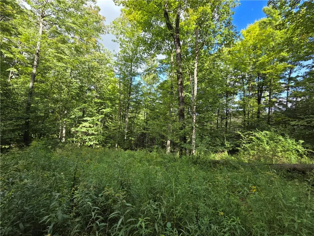 $465,000 | 1918 Chambers Road, Catlin, NY 14812