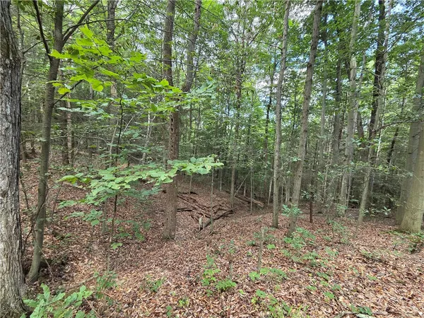 $457,500 | 1918 Chambers Road, Catlin, NY 14812