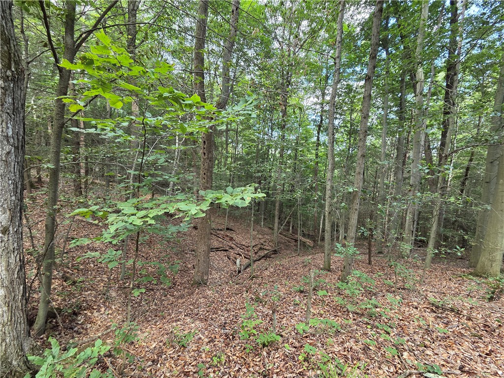 1918 Chambers Road Catlin, NY 14812 - Photo 31 of 50