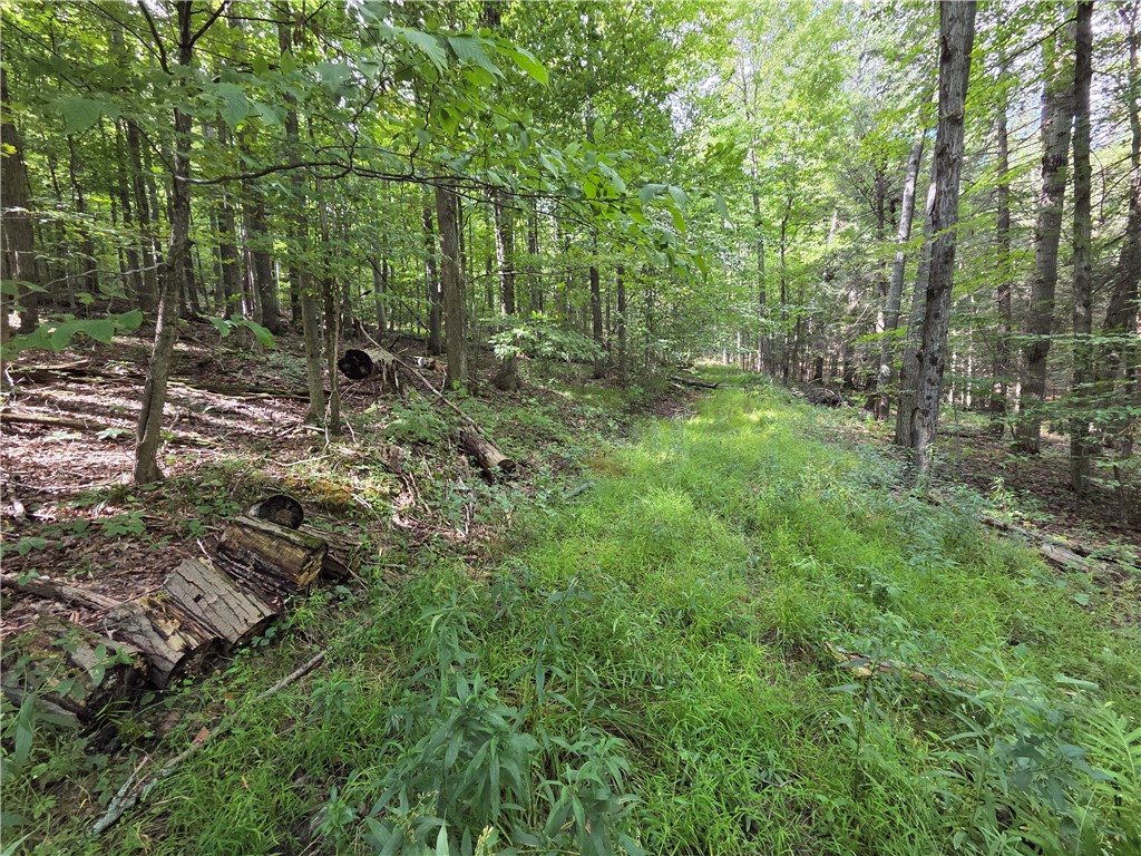 1918 Chambers Road Catlin, NY 14812 - Photo 32 of 50