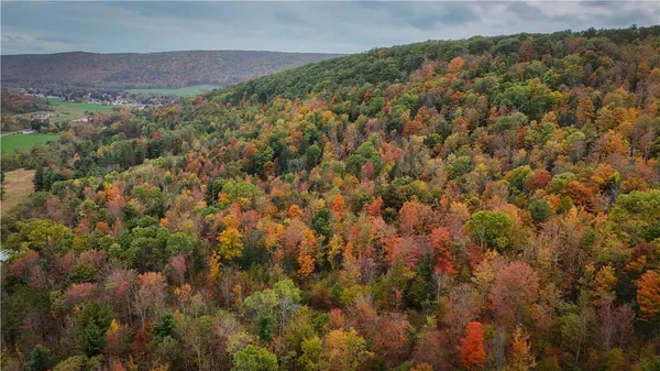 $457,500 | 1918 Chambers Road, Catlin, NY 14812