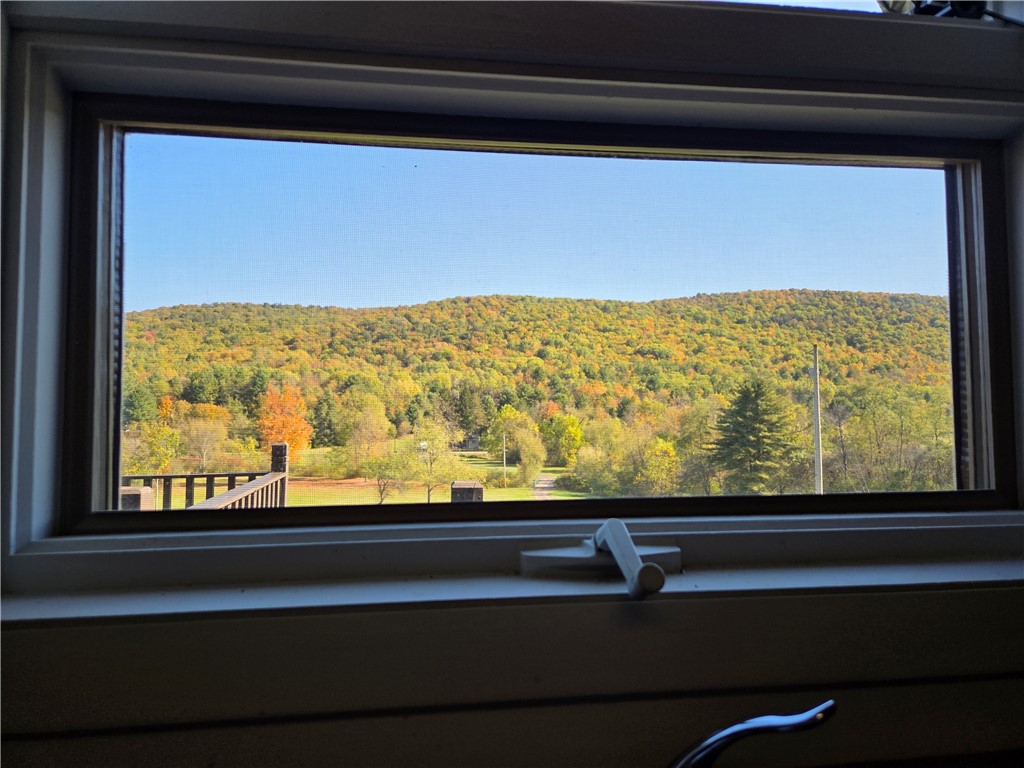 1918 Chambers Road Catlin, NY 14812 - Photo 40 of 50