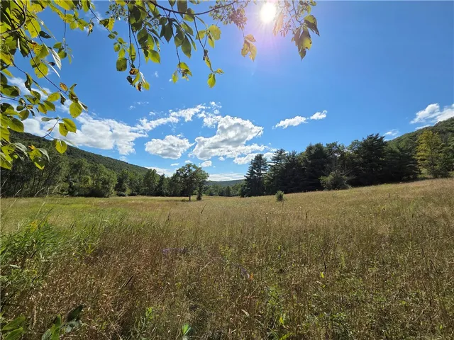 $465,000 | 1918 Chambers Road, Catlin, NY 14812