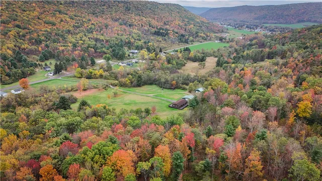 $465,000 | 1918 Chambers Road, Catlin, NY 14812