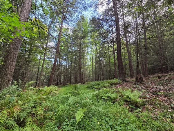 $457,500 | 1918 Chambers Road, Catlin, NY 14812