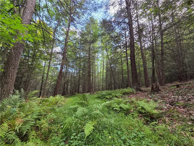 $465,000 | 1918 Chambers Road, Catlin, NY 14812