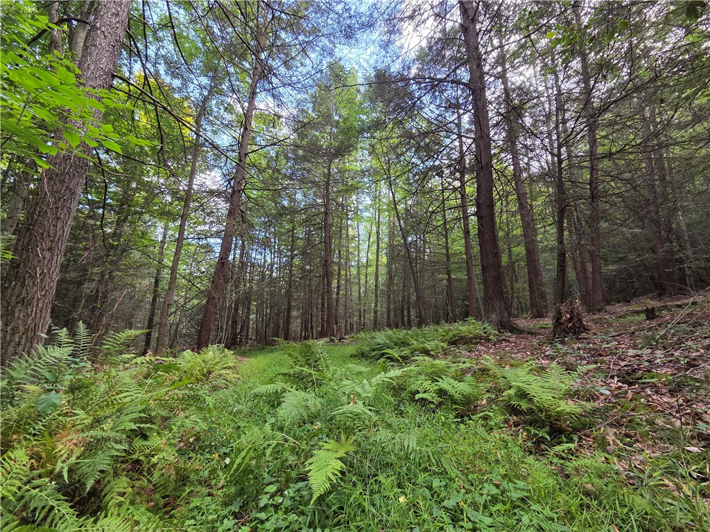 1918 Chambers Road Catlin, NY 14812 - Photo 10 of 50