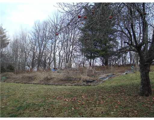 111 Mile Road Thorndike, ME 04986 - Photo 6 of 9 Yard/Garden.