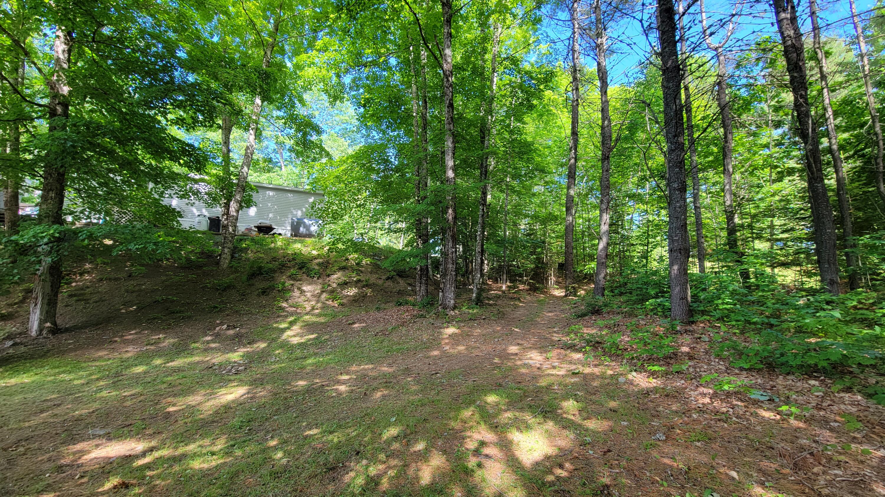 235 Cards Ridge Road Greenbush, ME 04418 - Photo 24 of 38 20210616_091042