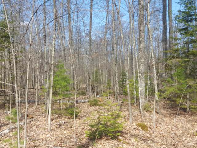 Lot 1 West Carpenter Lake Road Eagle River, WI 54521 - Photo 12 of 17 Gallery Image 12