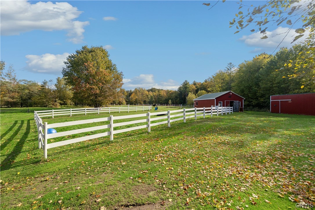 8722 Elpis Road Vienna, NY 13316 - Photo 12 of 49 Land View