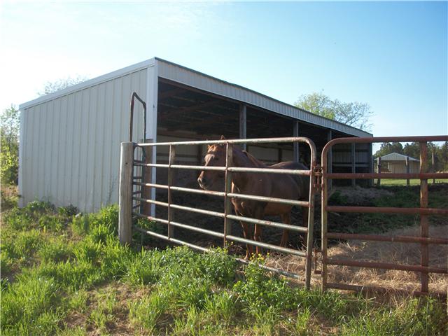 125 Thurman Kepley Road Portland, TN 37148 - Photo 12 of 20 ANOTHER BARN ON PROPERTY