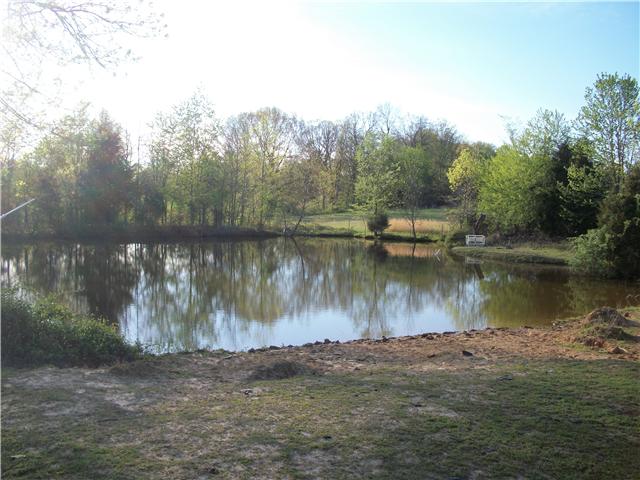 125 Thurman Kepley Road Portland, TN 37148 - Photo 14 of 20 ONE OF THE STOCKED PONDS ON THIS PROPERTY