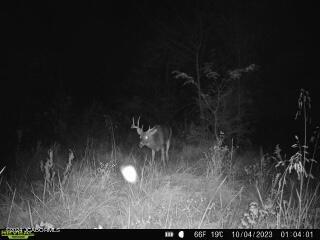 Tbd Miller Ford Road Centertown, MO 65023 - Photo 24 of 36