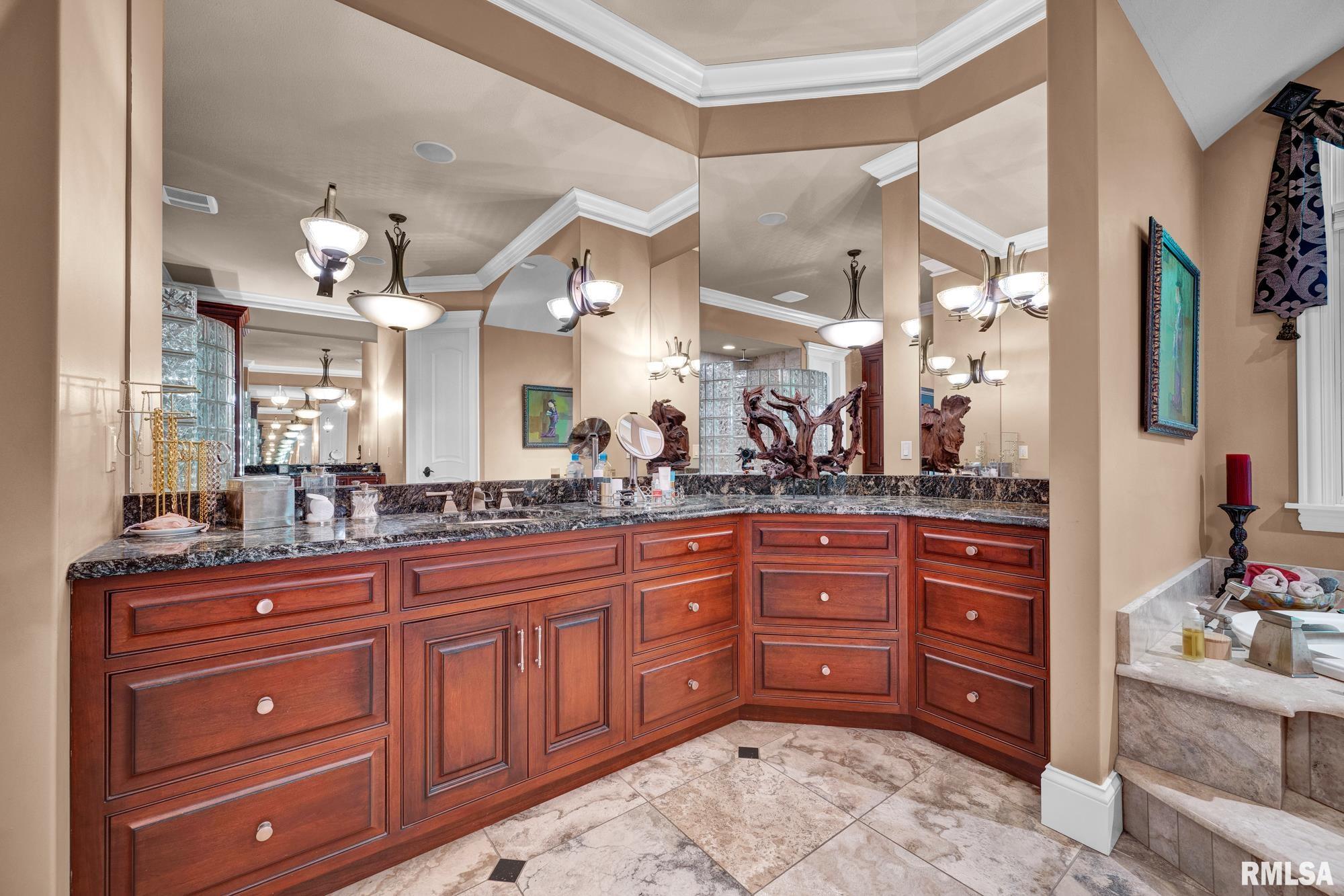 12925 Woodland Ridge Drive Dunlap, IL 61525 - Photo 43 of 100