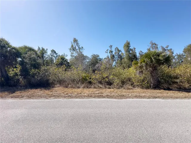 a view of a dry yard with trees