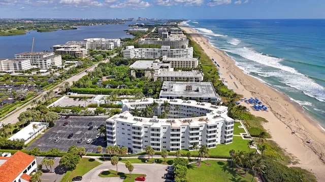 a view of a yard with plants and palm trees