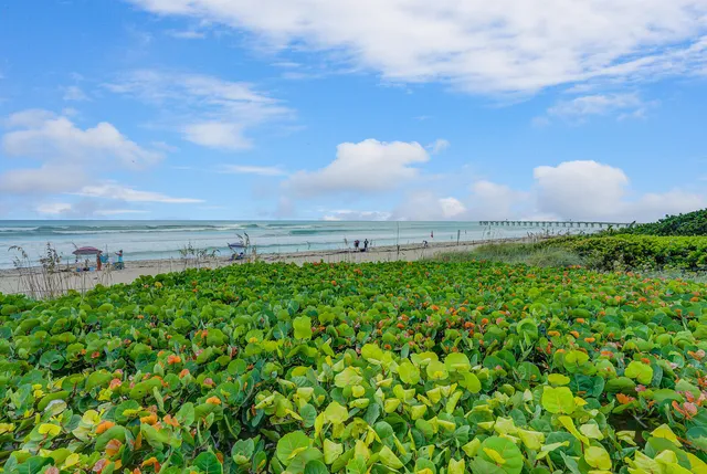 $5,500 | 2850 South Ocean Boulevard, Unit 208, Palm Beach, FL 33480