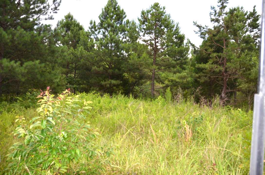 6-acres Putman Road Buffalo, SC 29321 - Photo 1 of 17 Gallery Image 1
